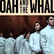 The lyrics SILVER AND GOLD of NOAH AND THE WHALE is also present in the album Heart of nowhere (2013)