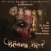 The lyrics ICH WERDE GEJAGT of BLOKKMONSTA is also present in the album Böses blut (2007)