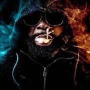 The lyrics BOYZ N THE HOOD of KAARIS is also present in the album Okou gnakouri (2016)