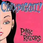 The lyrics GET DOWN of CHIXDIGGIT! is also present in the album Pink razors (2005)