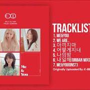 The lyrics THE VIBE of EXID is also present in the album We (2019)