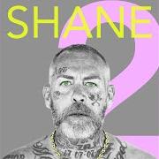 The lyrics HAUNTED of MADCHILD is also present in the album Shane 2 (2021)