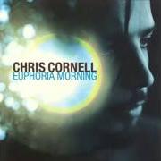 The lyrics FLUTTER GIRL of CHRIS CORNELL is also present in the album Euphoria morning (1999)