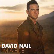 The lyrics GALVESTON of DAVID NAIL is also present in the album I'm a fire (2014)