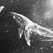 Sing for you - winter special album, 2015 Sing for you - winter special album, 2015