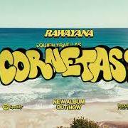 ¿quién trae las cornetas?