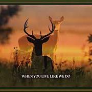 The lyrics RUBY ANN of TURNPIKE TROUBADOURS is also present in the album The price of admission (2025)