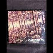 The lyrics POLYMERI of CALIBRO 35 is also present in the album Decade (2018)