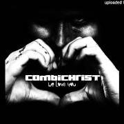 The lyrics FROM MY COLD DEAD HANDS of COMBICHRIST is also present in the album We love you (2014)