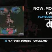 The lyrics IAMLEGEND of FLATBUSH ZOMBIES is also present in the album Now, more than ever (2020)