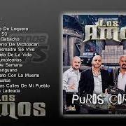 The lyrics CARINITO AMADO of LOS AMOS DE NUEVO LEON is also present in the album Los dos michoacanos (2013)