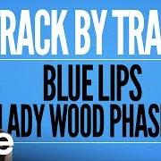 The lyrics PITCH BLACK (CHAPTER IV) of TOVE LO is also present in the album Blue lips (lady wood phase ii) (2017)