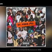 The lyrics MILLION DOLLAR NIGGA of PEEZY is also present in the album Free rio (2021)