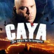 Au coeur de la tempete