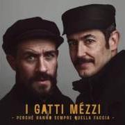 The lyrics SASSINI of I GATTI MÉZZI is also present in the album Perchè hanno sempre quella faccia (2016)