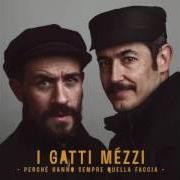 The lyrics NON CAMBIEREMO MAI of I GATTI MÉZZI is also present in the album Perchè hanno sempre quella faccia (2016)