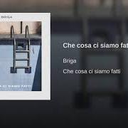 The lyrics CHE COSA CI SIAMO FATTI of BRIGA is also present in the album Che cosa ci siamo fatti (2018)