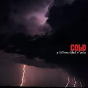The lyrics WHEN ANGELS FLY AWAY of COLD is also present in the album A different kind of pain (2005)
