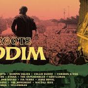 The lyrics THESE ARE MY ROOTS of COLLIE BUDDZ is also present in the album Cali roots riddim 2020 (2020)