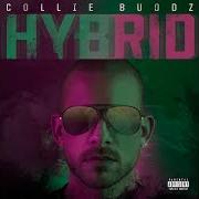 The lyrics BANK of COLLIE BUDDZ is also present in the album Hybrid (2019)