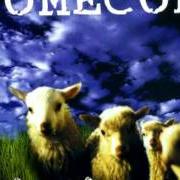 The lyrics BOVINE INSPIRATION of COMECON is also present in the album Fable frolic (1996)