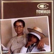 The lyrics INTROSPECTIVE of COMMON is also present in the album One day it'll all make sense (1997)