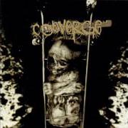 The lyrics TOWING JEHOVAH of CONVERGE is also present in the album When forever comes crashing (1998)