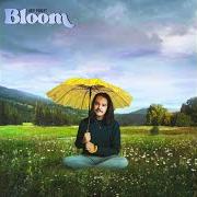 Bloom Bloom