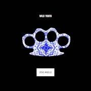 The lyrics REBEL NATION of STEVE ANGELLO is also present in the album Wild youth (2015)