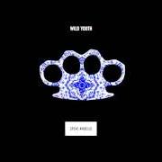 The lyrics LAST DANCE of STEVE ANGELLO is also present in the album Wild youth (2015)