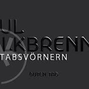 The lyrics SCHWER VERBINDLICH of PAUL KALKBRENNER is also present in the album Guten tag (2012)