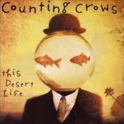 The lyrics AMY HIT THE ATMOSPHERE of COUNTING CROWS is also present in the album This desert life (1999)