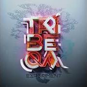The lyrics ZION of TRIBEQA is also present in the album Experiment (2016)