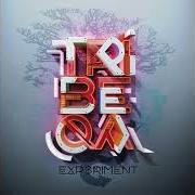 The lyrics TITANS of TRIBEQA is also present in the album Experiment (2016)