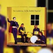 The lyrics FREE TO DECIDE of THE CRANBERRIES is also present in the album To the faithful departed (1995)