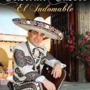 The lyrics NO VOLVERÉ of CRISTIAN CASTRO is also present in the album El indomable (2007)