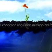 The lyrics DEAL of CROSS CANADIAN RAGWEED is also present in the album Mission california (2007)