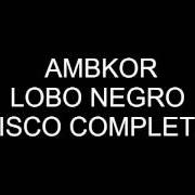 The lyrics LLÉVAME CONTIGO of AMBKOR is also present in the album Lobo negro (2016)