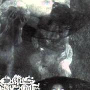 The lyrics I RIDE THE WINDS OF HATE of CULTUS SANGUINE is also present in the album Cultus sanguine (1994)