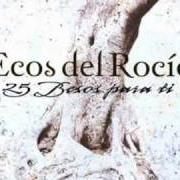 The lyrics CARTA A LOS REYES MAGOS of ECOS DEL ROCÍO is also present in the album 25 besos para ti (2007)