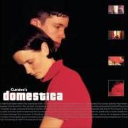 The lyrics THE NIGHT I LOST THE WILL TO FIGHT of CURSIVE is also present in the album Domestica (2000)