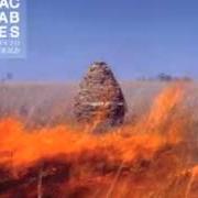 The lyrics GO of THE MACCABEES is also present in the album Given to the wild (2011)