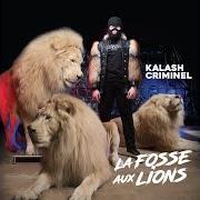 The lyrics AHOU of KALASH CRIMINEL is also present in the album La fosse aux lions (2018)