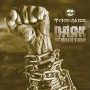 The lyrics PRIDE (IN THE NAME OF LOVE) of DARK is also present in the album Revolution (1999)