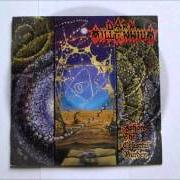 The lyrics FATHER LEGATUS - OF SYMBOLS, NATURE AND BIRTH of DARK MILLENIUM is also present in the album Ashore the celestial burden (1992)