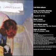 The lyrics MISERABILIA of LOS CAMPESINOS is also present in the album We are beautiful, we are doomed (2008)
