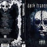 The lyrics I AM THE VOID of DARK TRANQUILLITY is also present in the album We are the void (2010)
