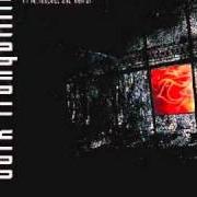 The lyrics VOID OF TRANQUILLITY of DARK TRANQUILLITY is also present in the album Yesterworld (2009)