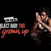 The lyrics ABOUT YOU WITHOUT YOU of KODAK BLACK is also present in the album Project baby 2: all grown up (deluxe) (2017)