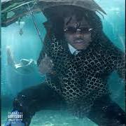 The lyrics BABY BIRKIN of GUNNA is also present in the album Drip or drown 2 (2019)